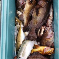 海龍丸（石川） 釣果