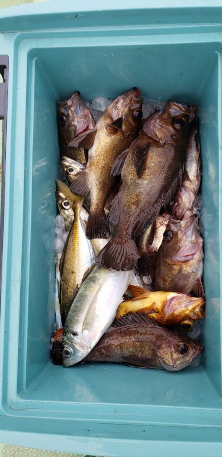 海龍丸（石川） 釣果