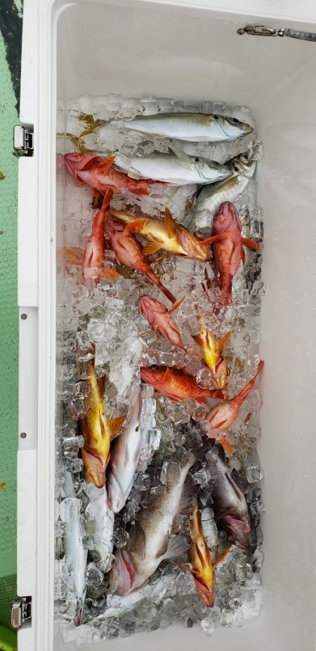 海龍丸（石川） 釣果