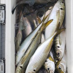 海龍丸（石川） 釣果