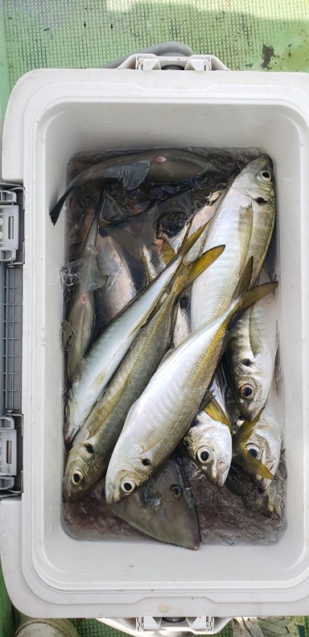 海龍丸（石川） 釣果