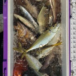 海龍丸（石川） 釣果