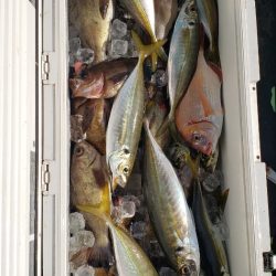 海龍丸（石川） 釣果