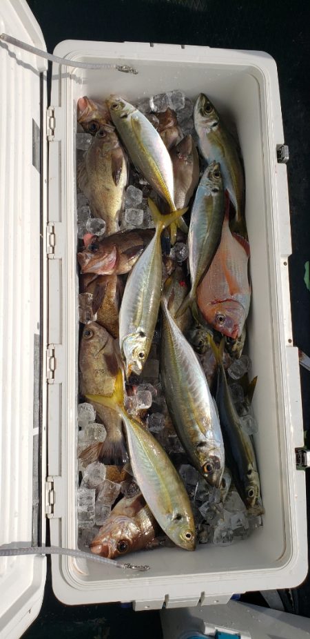 海龍丸（石川） 釣果