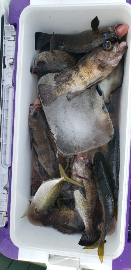海龍丸（石川） 釣果