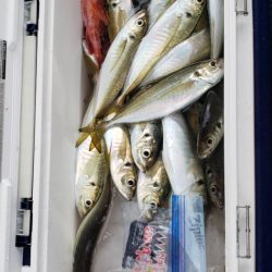 海龍丸（石川） 釣果