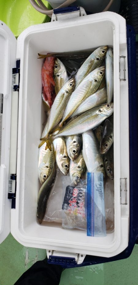 海龍丸（石川） 釣果