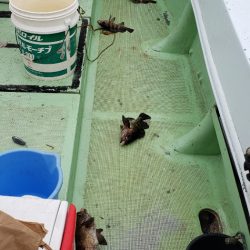 海龍丸（石川） 釣果