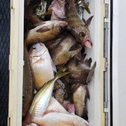 海龍丸（石川） 釣果