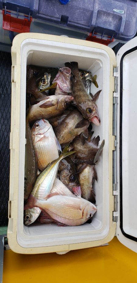 海龍丸（石川） 釣果