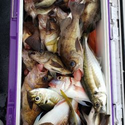 海龍丸（石川） 釣果