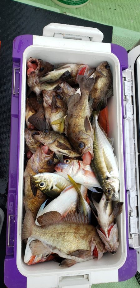 海龍丸（石川） 釣果