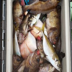 海龍丸（石川） 釣果