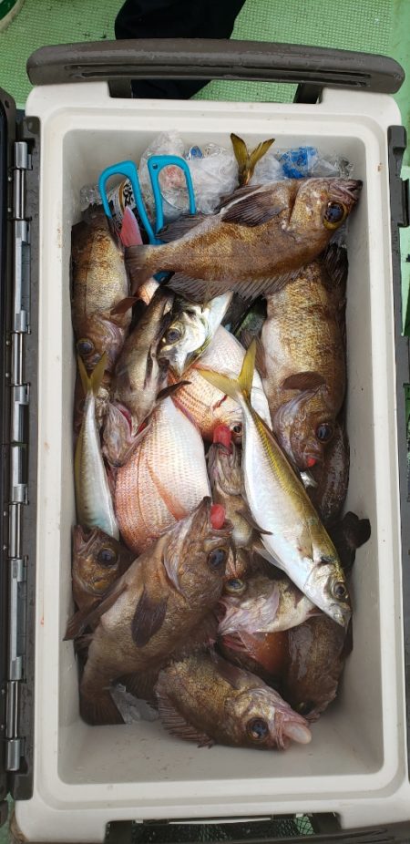 海龍丸（石川） 釣果
