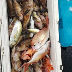 海龍丸（石川） 釣果