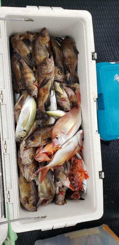 海龍丸（石川） 釣果