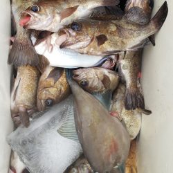 海龍丸（石川） 釣果