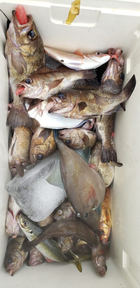 海龍丸（石川） 釣果