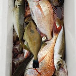 海龍丸（石川） 釣果