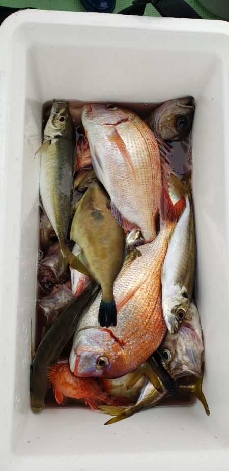 海龍丸（石川） 釣果