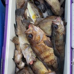 海龍丸（石川） 釣果