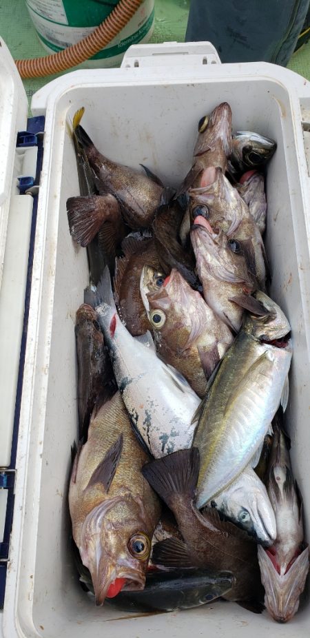 海龍丸（石川） 釣果
