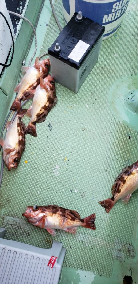 海龍丸（石川） 釣果