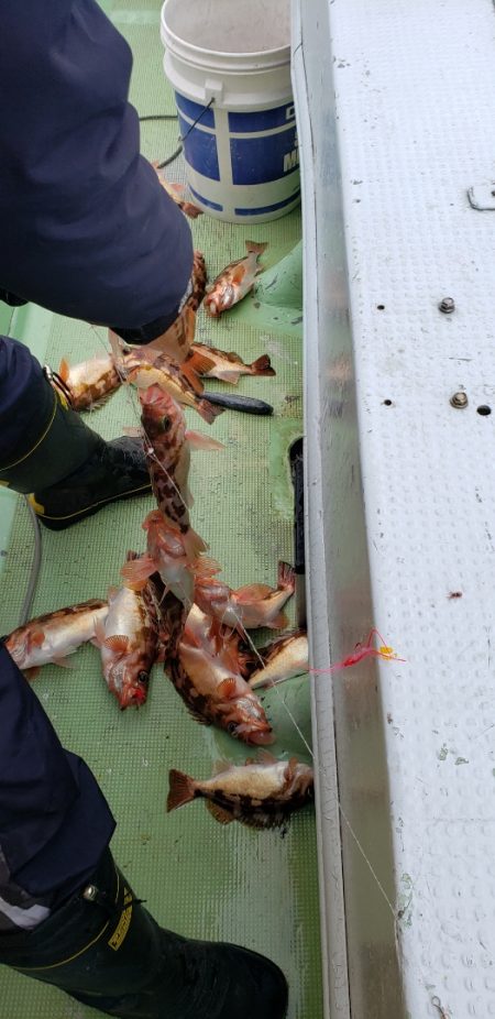 海龍丸（石川） 釣果