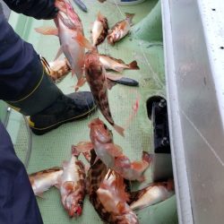 海龍丸（石川） 釣果