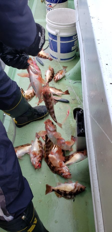 海龍丸（石川） 釣果