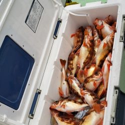 海龍丸（石川） 釣果