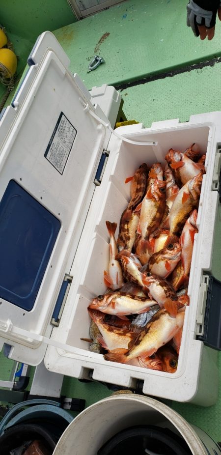 海龍丸（石川） 釣果