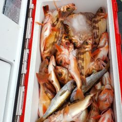 海龍丸（石川） 釣果