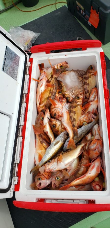 海龍丸（石川） 釣果