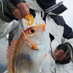一華丸 釣果
