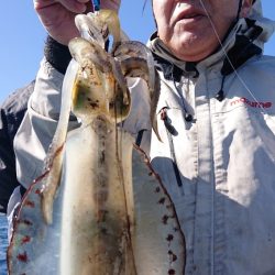 シースナイパー海龍 釣果