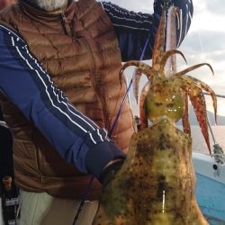 シースナイパー海龍 釣果