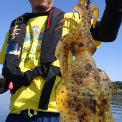 シースナイパー海龍 釣果