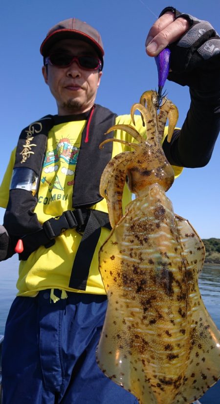 シースナイパー海龍 釣果