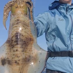 シースナイパー海龍 釣果