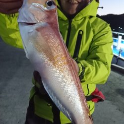 第三共栄丸 釣果