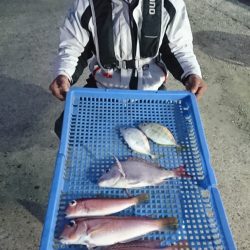 第三共栄丸 釣果