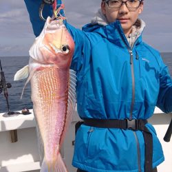 ARCADIAⅡ (アルカディアⅡ) 釣果