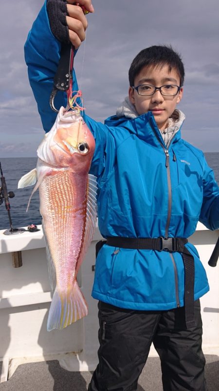 ARCADIAⅡ (アルカディアⅡ) 釣果