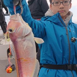 ARCADIAⅡ (アルカディアⅡ) 釣果