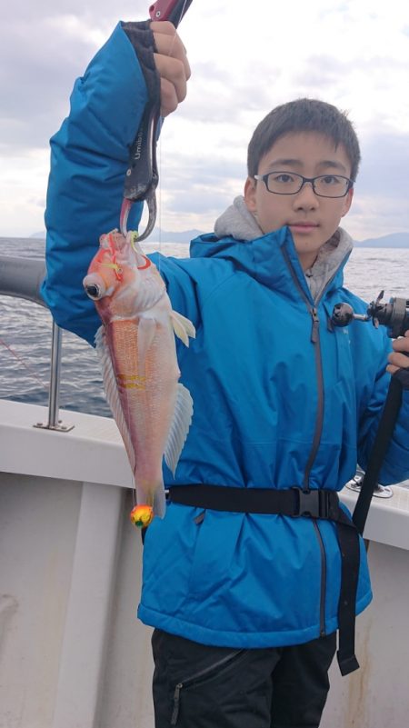 ARCADIAⅡ (アルカディアⅡ) 釣果