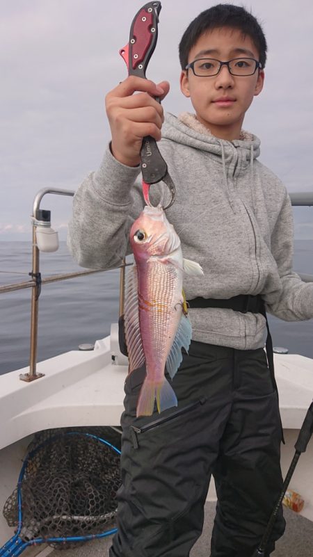 ARCADIAⅡ (アルカディアⅡ) 釣果