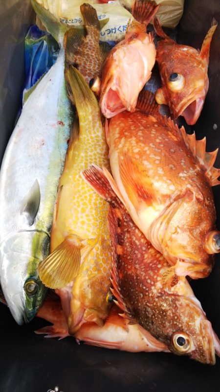 第二龍勢丸 釣果