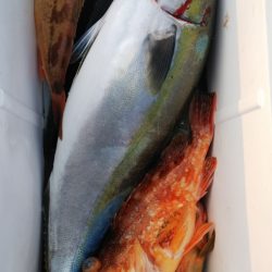 第二龍勢丸 釣果