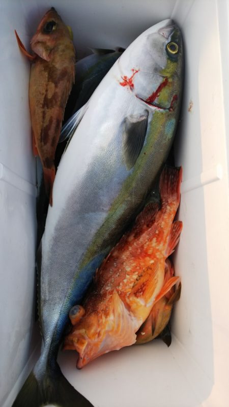 第二龍勢丸 釣果